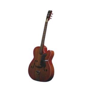 Givson Royal Special F Hole Cutaway Acoustic Guitar